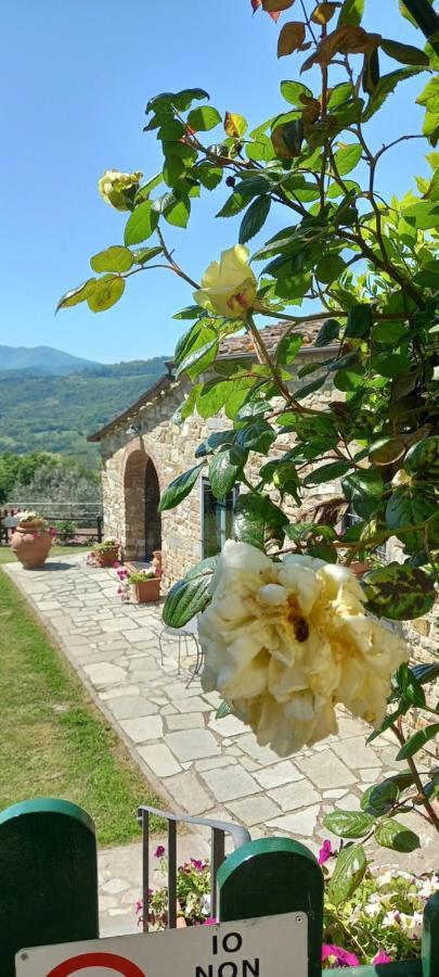 Poggio Al Sole Hotell Fiesole Exteriör bild